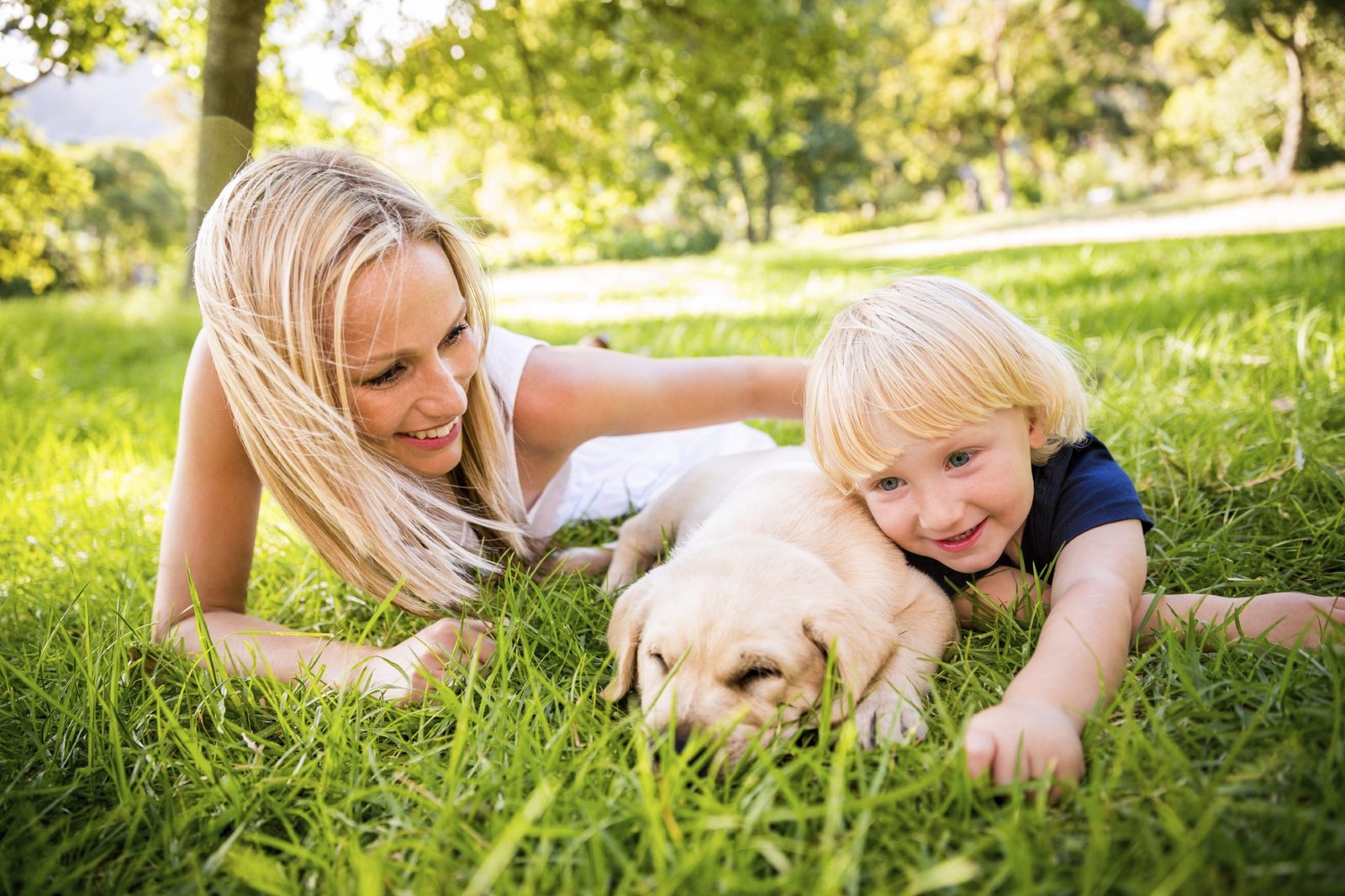 Anderson family with their french bulldog